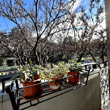 Da Elisa E Davide House Daire Roma